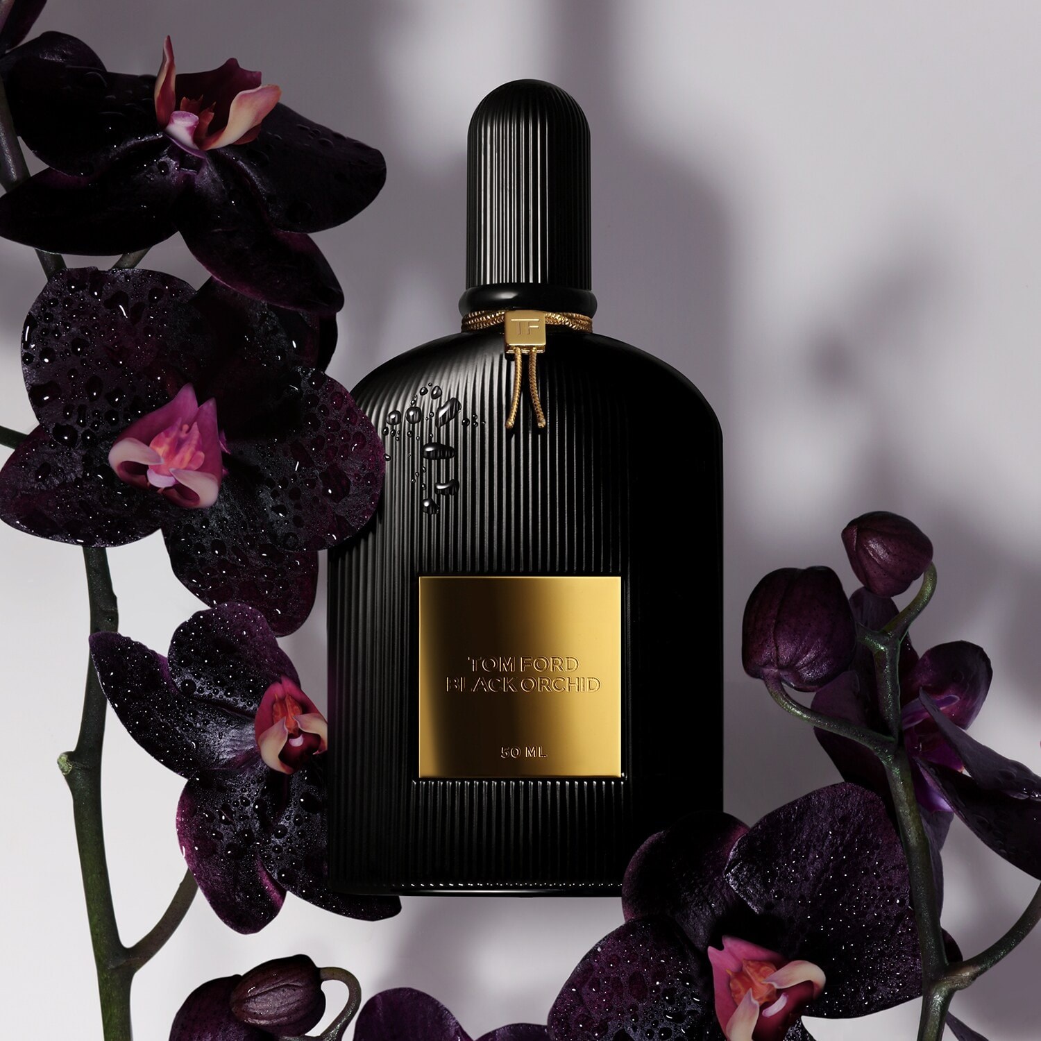 Tom Ford Black Orchid Edp - Unisex Parfüm | Makyaj Trendi