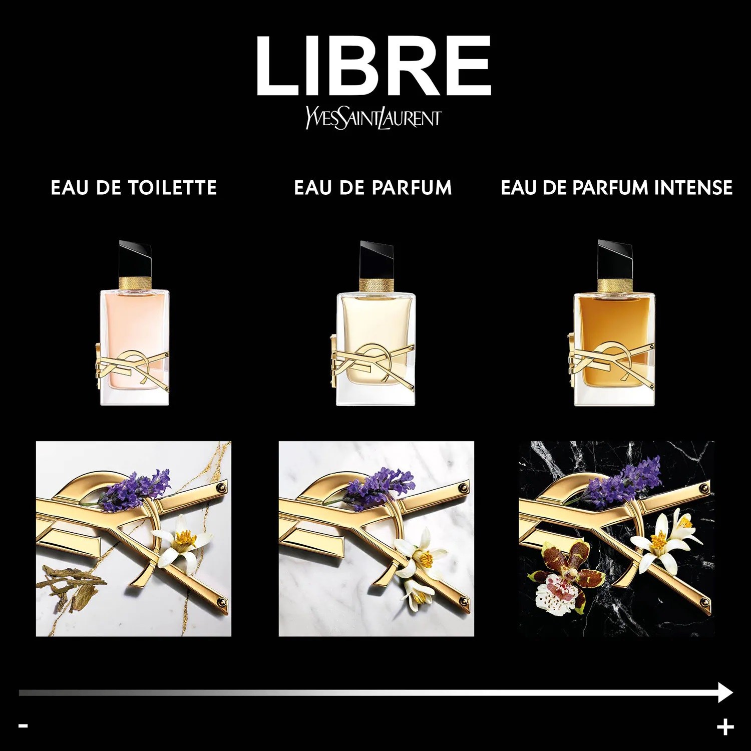 Yves Saint Laurent Libre Intense - Kadın Parfüm | Makyaj Trendi