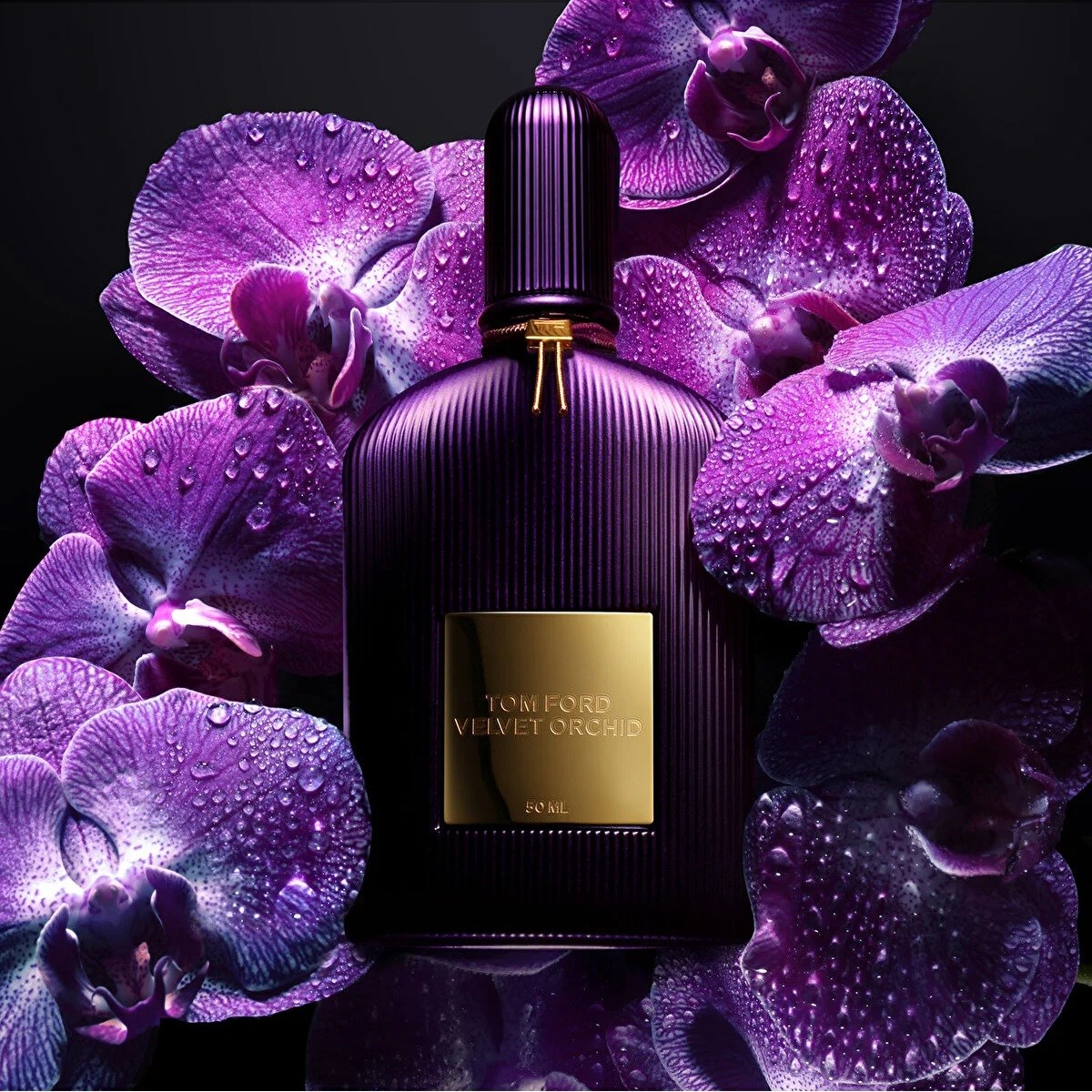 Tom Ford Velvet Orchid Edp 50 Ml - Kadın Parfüm | Makyaj Trendi